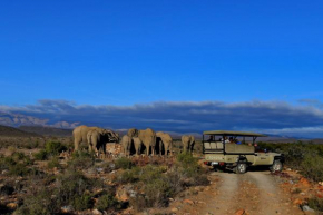  Sanbona Wildlife Reserve  Барридейл 